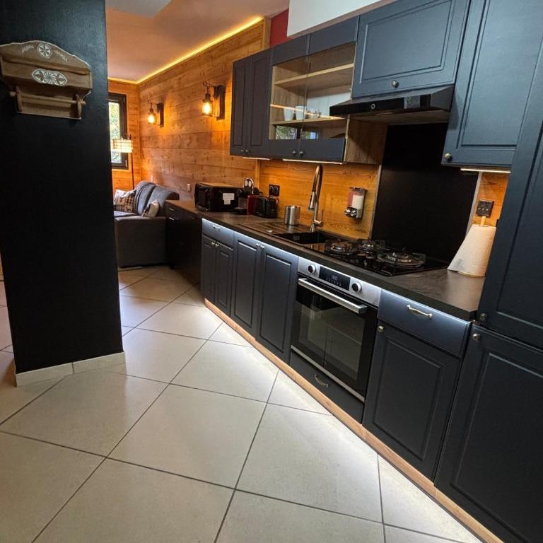 Appartement cosy entre lacs et montagnes - Appartement 2 Chambres - 3