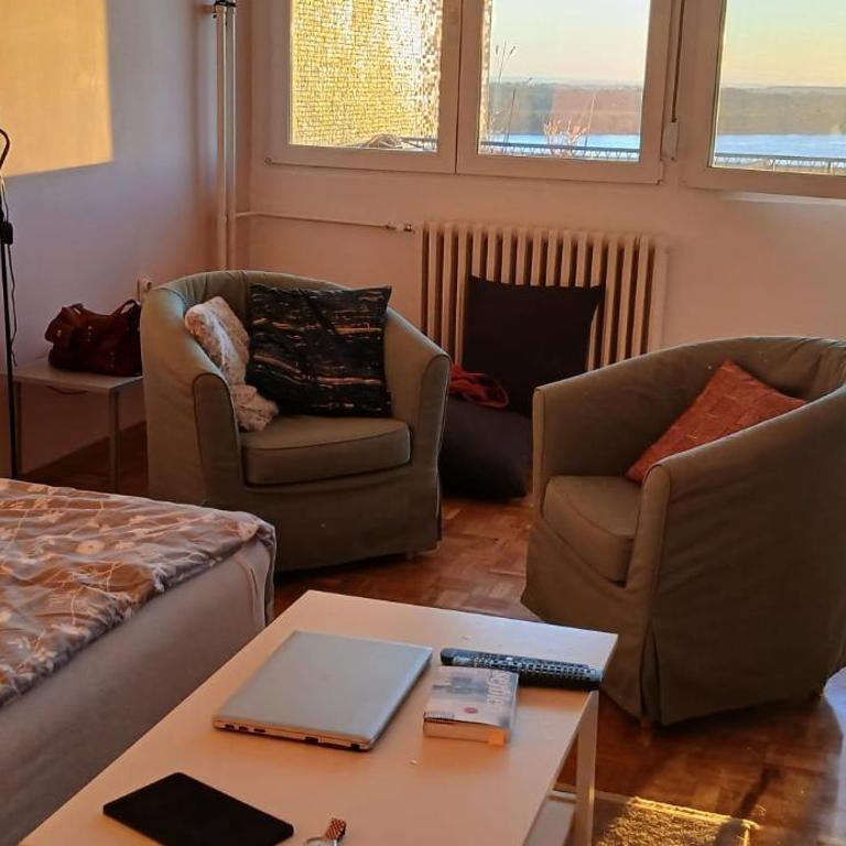 Danube Riverview - Apartman sa 1 Spavaćom Sobom - 8