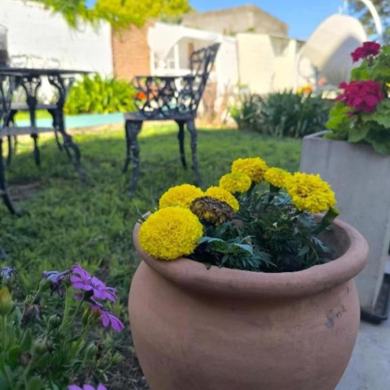 Apartamento Piscis - Apartamento de 1 dormitorio - 10