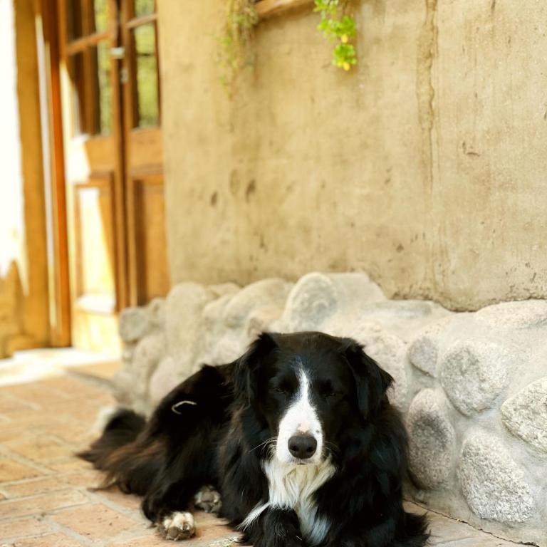 Chacra La Linda Eco San Marcos Sierras - Casa con 1 dormitorio - 3