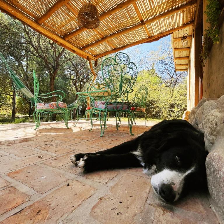 Chacra La Linda Eco San Marcos Sierras - Casa con 1 dormitorio - 8