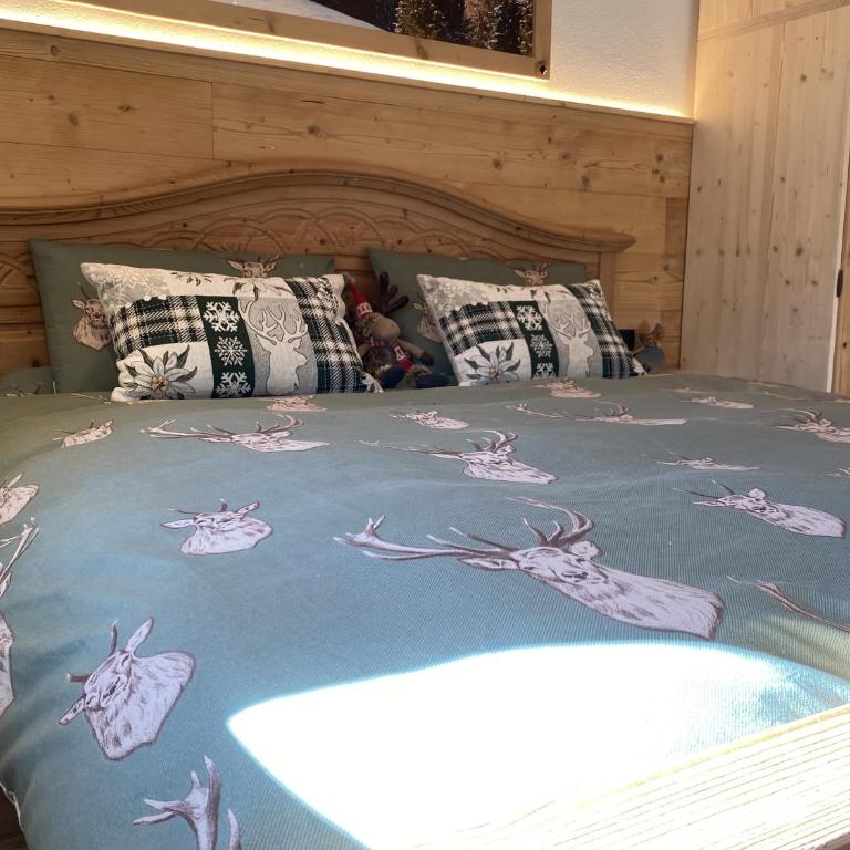 My Sweet Home in the Dolomites - appartamento "Ai Vòlti" - Appartamento con 2 Camere da Letto - 20