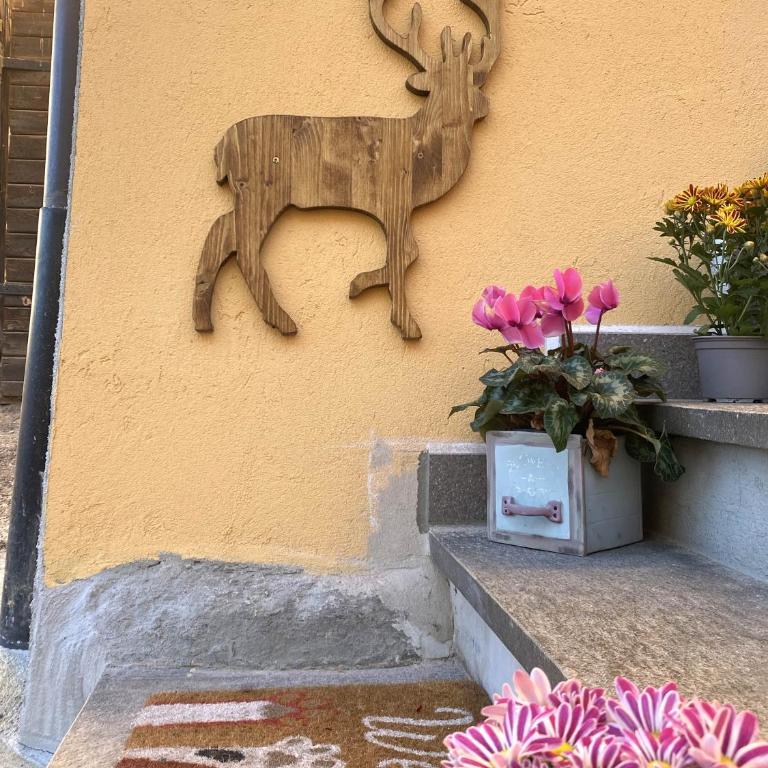 My Sweet Home in the Dolomites - appartamento "Ai Vòlti" - Appartamento con 2 Camere da Letto - 36