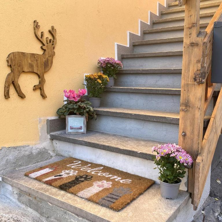 My Sweet Home in the Dolomites - appartamento "Ai Vòlti" - Appartamento con 2 Camere da Letto - 35