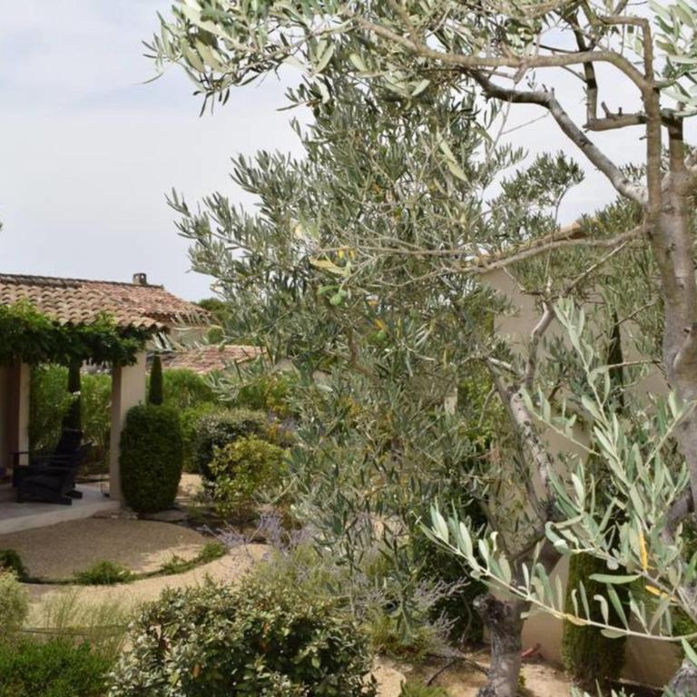 Maison Marie Provençal Elegance on the Pont Royal Golf Course - Maison de Vacances - 23