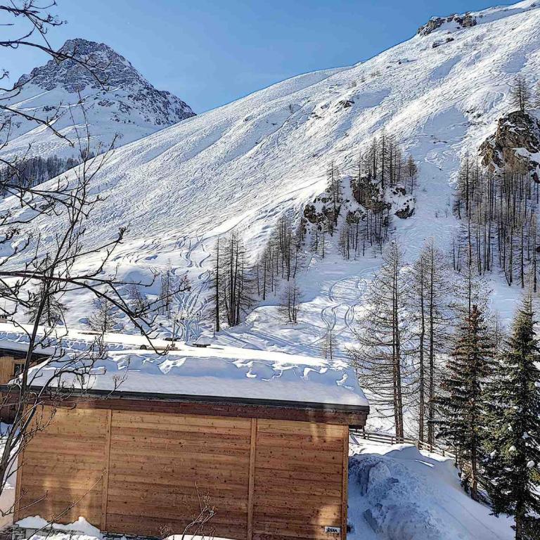 Charmant Appartement au Chatelard, Val-d'Isère, Accès Direct aux Pistes, Parking Inclus - FR-1-518-130 - Appartement - 5