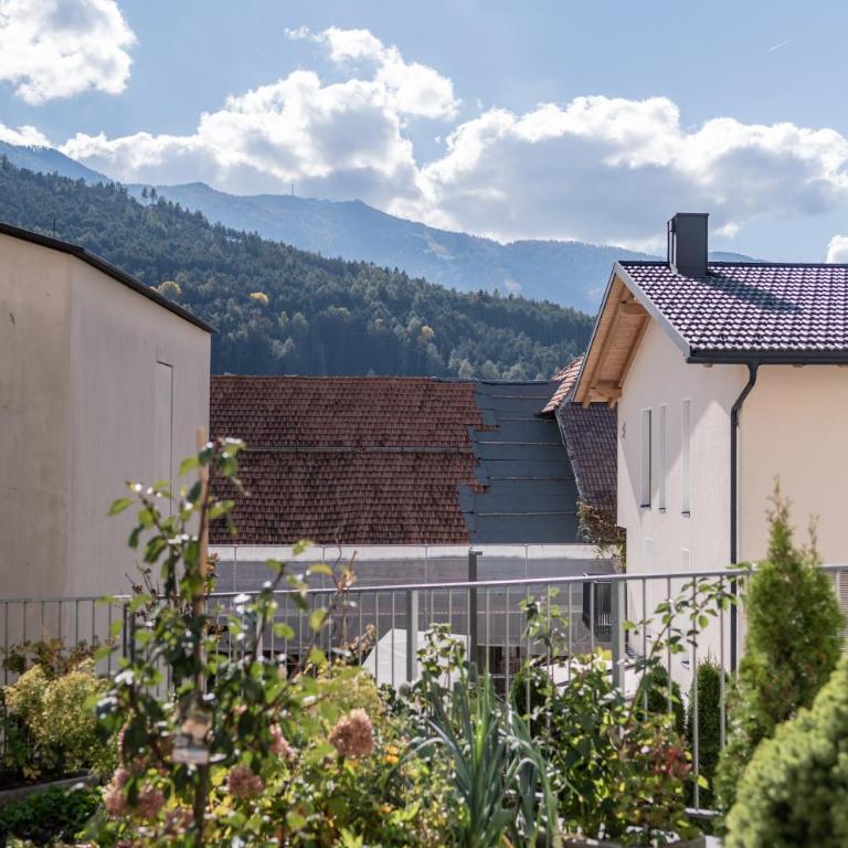 BioTop Appartement Kronplatz - Appartamento con Terrazza - 35