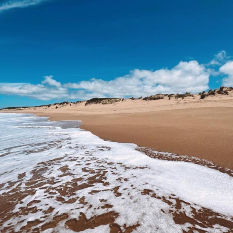 Saint Sauce - Casa en Sauce de Portezuelo, Maldonado - Casa con 1 dormitorio - 6