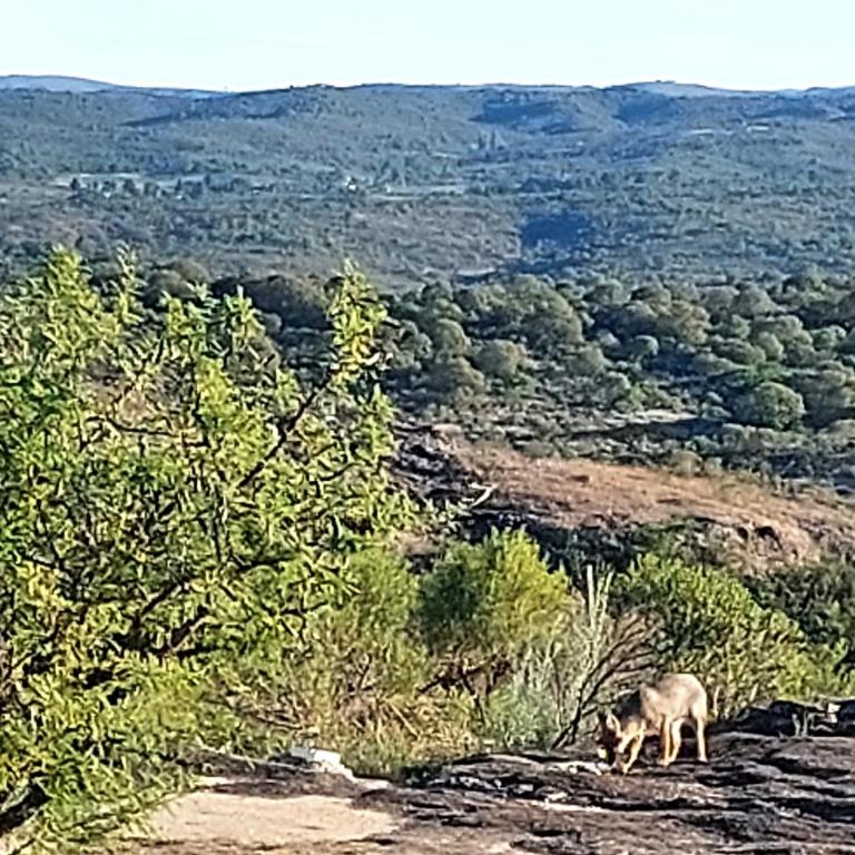La Loma del Valle - Chalet de 2 dormitorios - 22