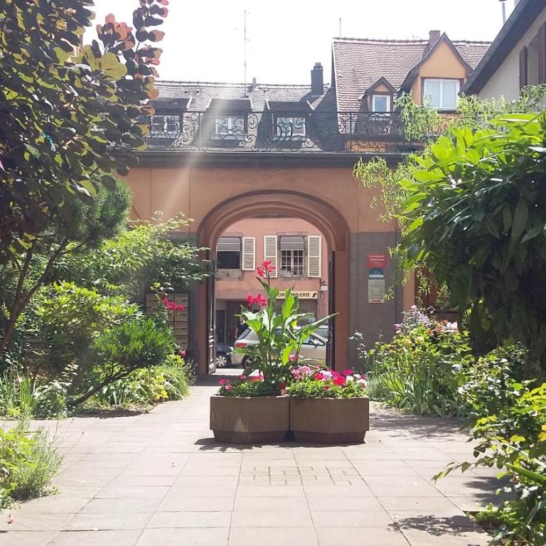 Commanderie Cottage Colmar - Appartement - Vue sur Jardin - 3