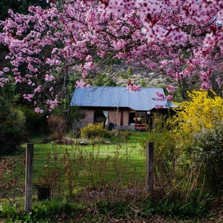 Cabaña con amplio jardín a 10min del centro - Bungalow con vistas al jardín - 10
