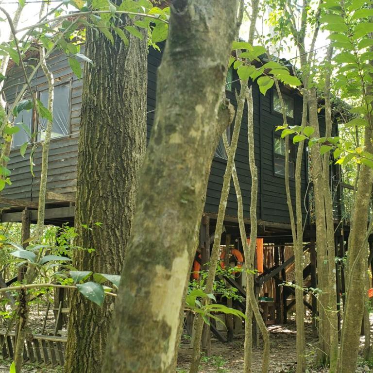 Espacio Las Abejas Cabaña Las Abejas - Casa con 1 dormitorio - 4