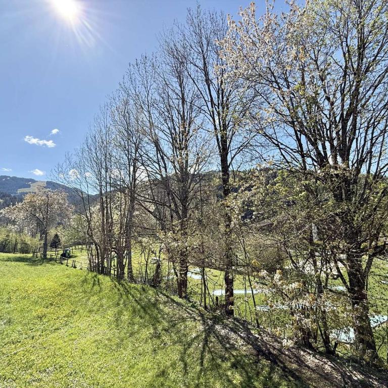 Appartement 3 pièces à Notre-Dame-de-Bellecombe - 6 pers, proches commerces et pistes - FR-1-595-104 - Appartement - 19