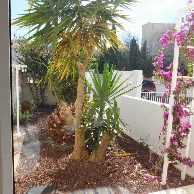 La Dolce Vita - Villa de 1 dormitorio - 11