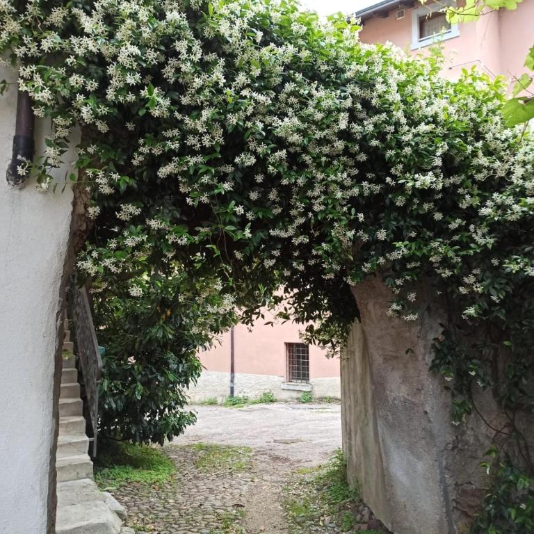 casa howard - Deluxe Apartment mit 2 Schlafzimmern - 14