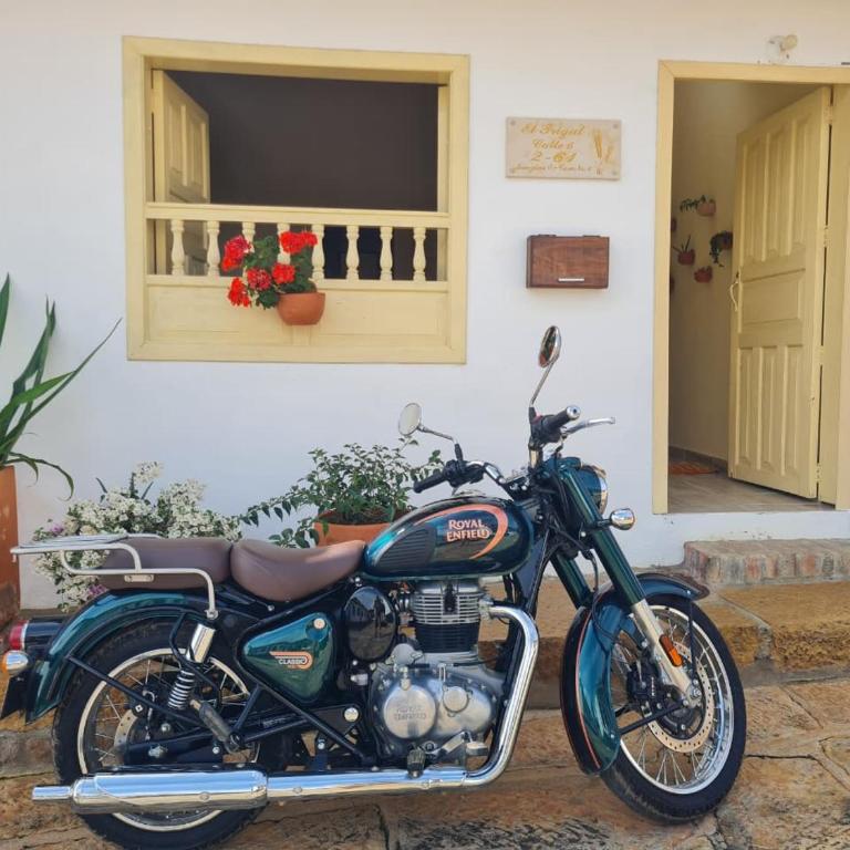 Apartamento El trigal - Apartamento de 2 dormitorios - 4