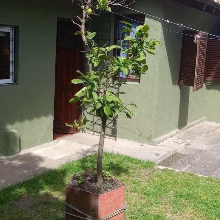 Casa amplia en zona punta mogotes - Casa de 2 dormitorios - 6