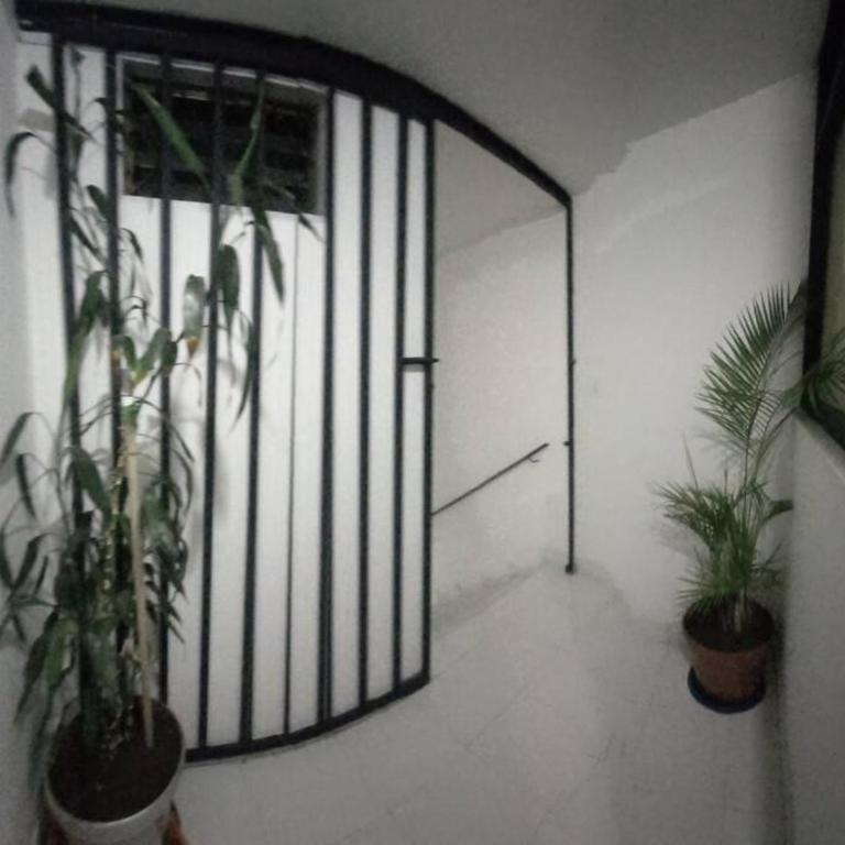Apto 4 cuartos Valencia centro Histórico Popayán - Apartment - 16
