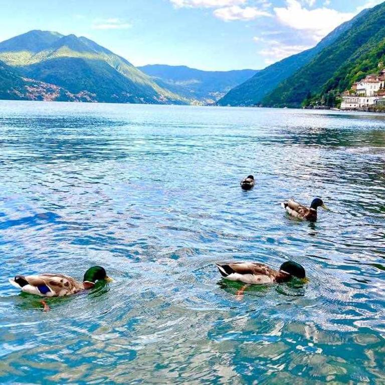 Una terrazza sul lago - Appartamento con Vista Lago - 29