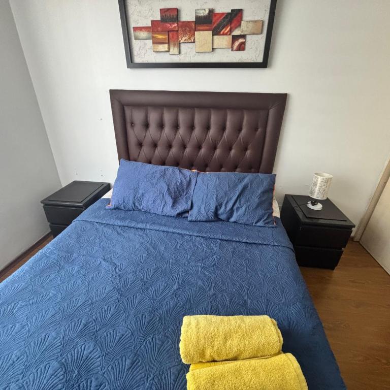Departamento en metro moneda - One-Bedroom Apartment - 1