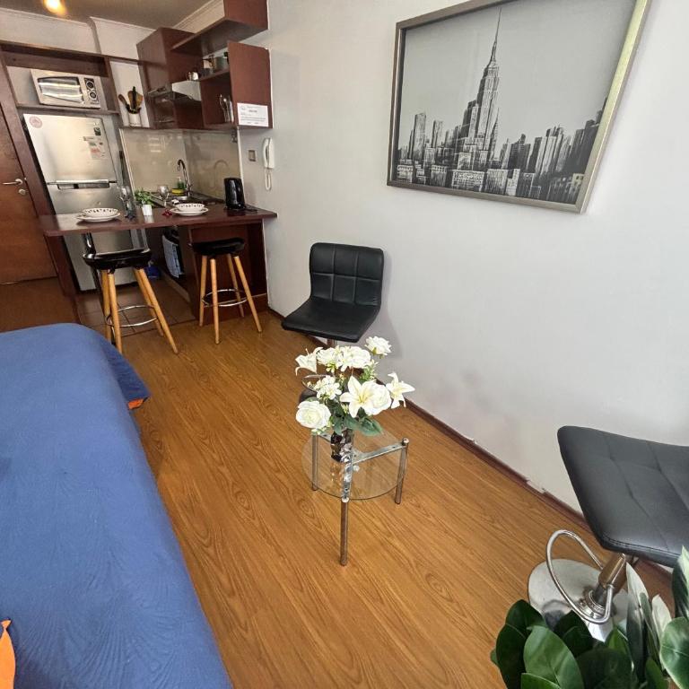 Departamento en metro moneda - One-Bedroom Apartment - 5