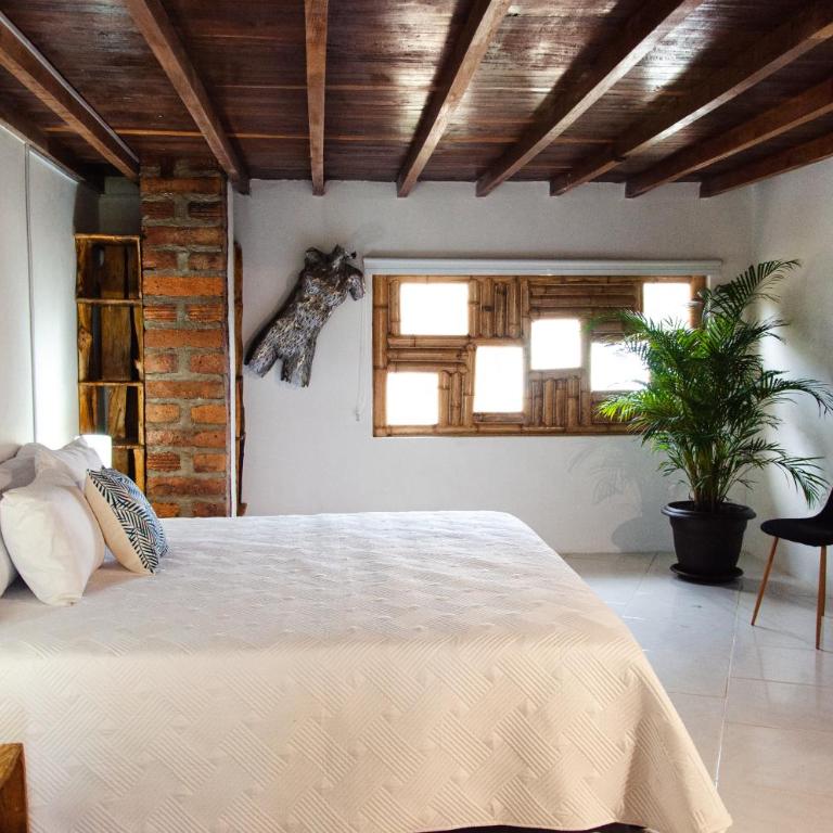 PIA COLOMBIA - Suite Doble Estándar - 7