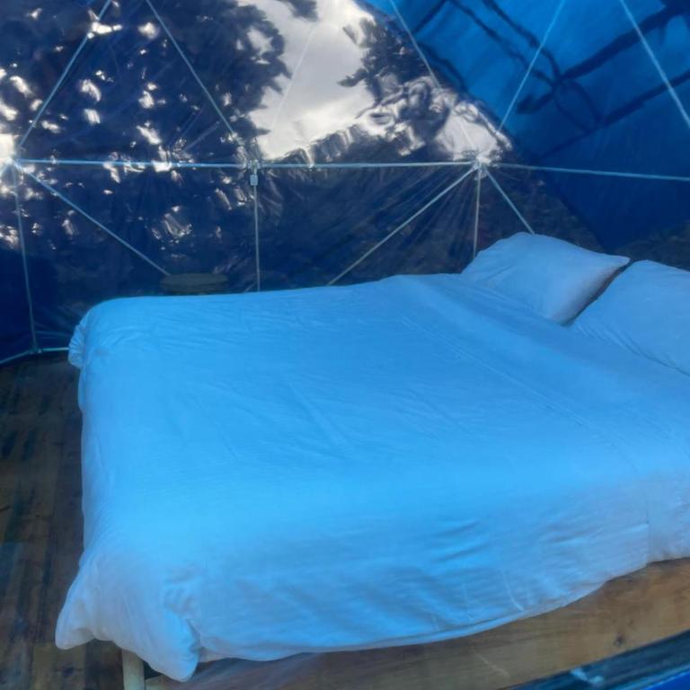 Villas del Rio Glamping - Habitación con cama extragrande y vistas a la montaña - 9