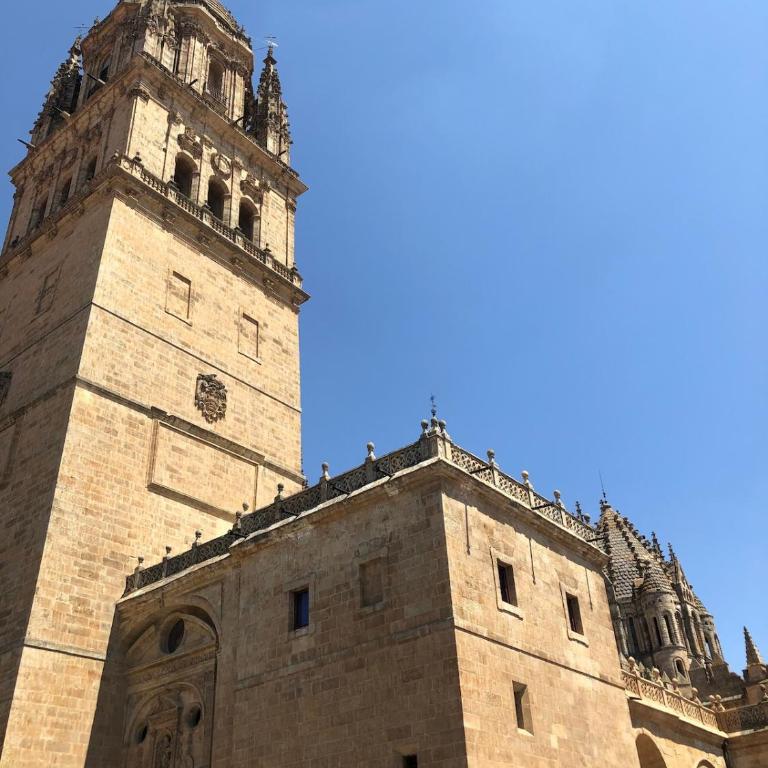 Exclusivo apartamento en casco antiguo - One-Bedroom Apartment - 31