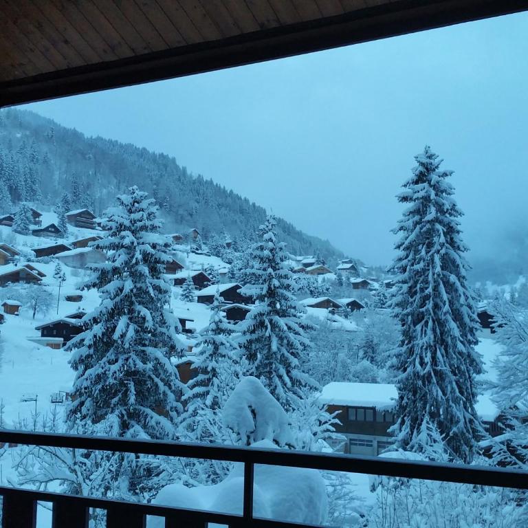 Annapurna LA CLUSAZ - Two-Bedroom Apartment - 8