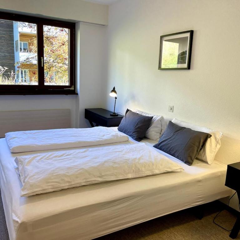 Alpine Apartment Davos Parsenn - Apartment mit 3 Schlafzimmern - 21