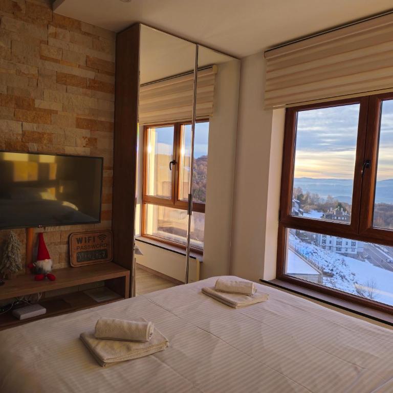 Peak Montana Kopaonik - Studio with Mountain View - 2