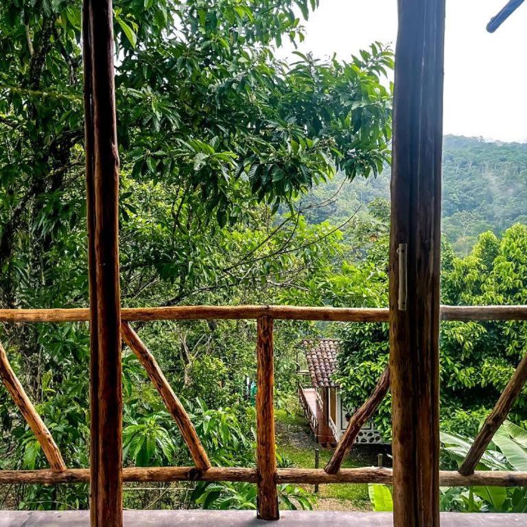 Alojamiento rural Bellavista Experiences - Habitación Doble Deluxe Superior - 1 o 2 camas - 6