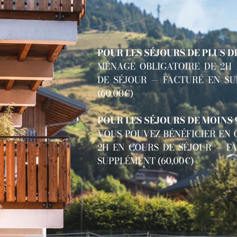 Flat le Renne Blanc - In the center of Praz-sur-Arly - Appartement - 5