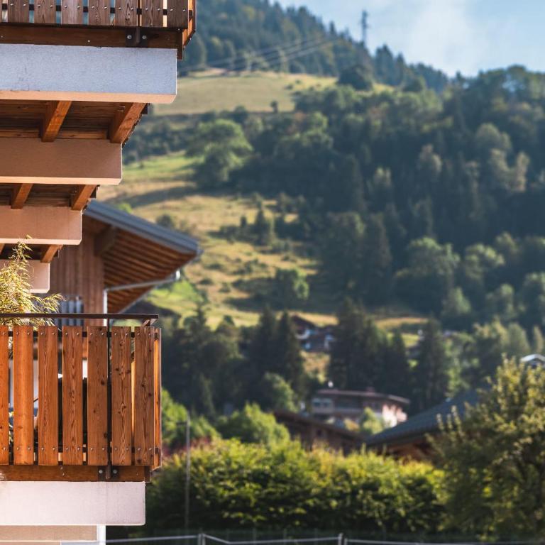 Flat le Renne Blanc - In the center of Praz-sur-Arly - Appartement - 16