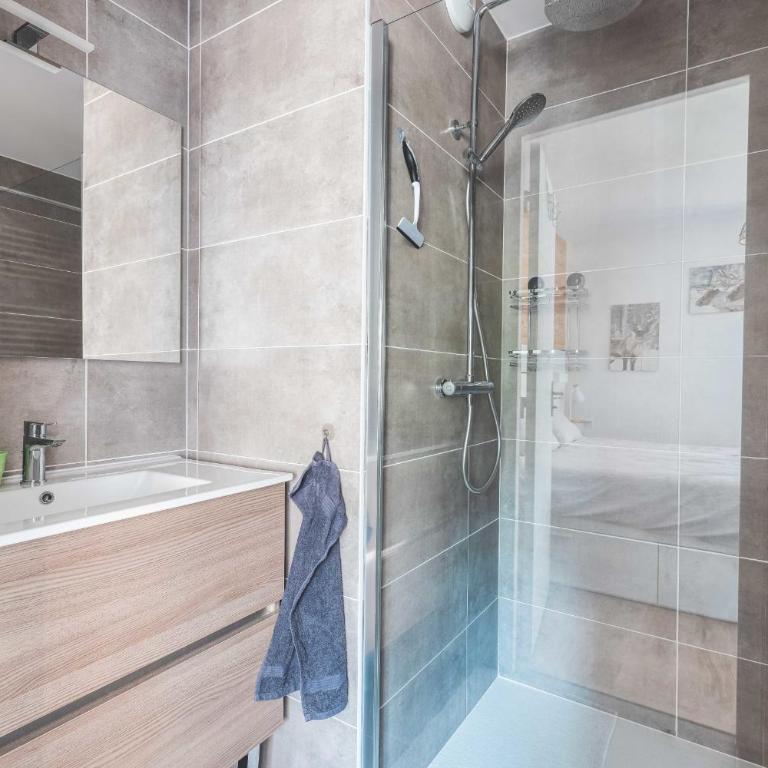 Flat le Renne Blanc - In the center of Praz-sur-Arly - Appartement - 11