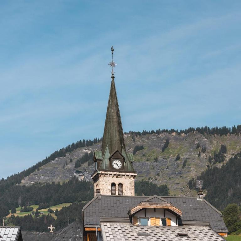 Flat le Renne Blanc - In the center of Praz-sur-Arly - Appartement - 23