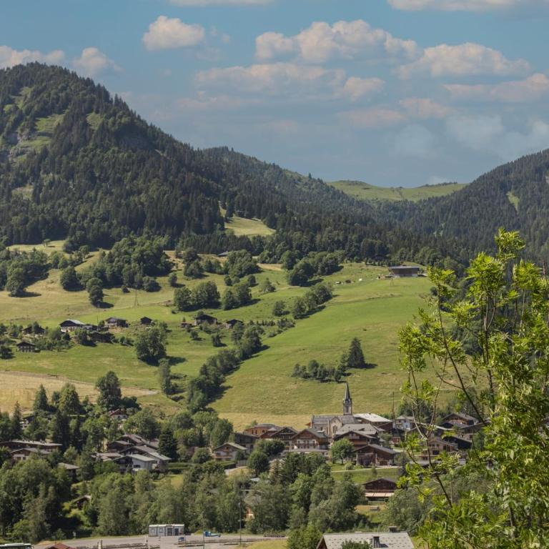 Flat le Renne Blanc - In the center of Praz-sur-Arly - Appartement - 21