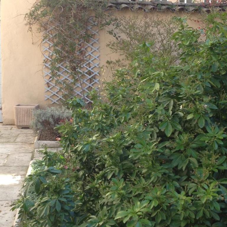 La petite Maison dans la Croix Rousse - Studio avec Vue sur Jardin - 47