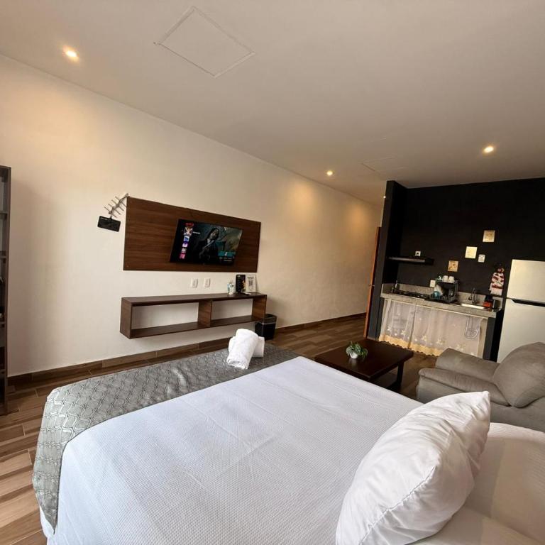 Lofts Terra Nuevo Vallarta - Estudio Deluxe con cama grande - 6
