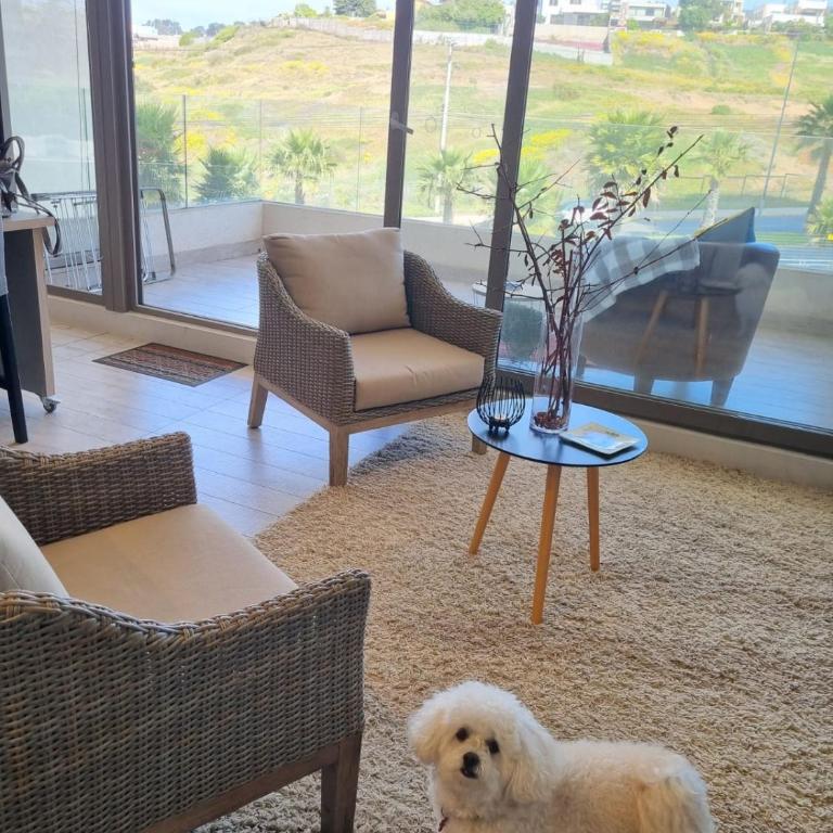 Acogedor y moderno apartamento cerca de Dunas y playa en Con Con - One-Bedroom Apartment - 1