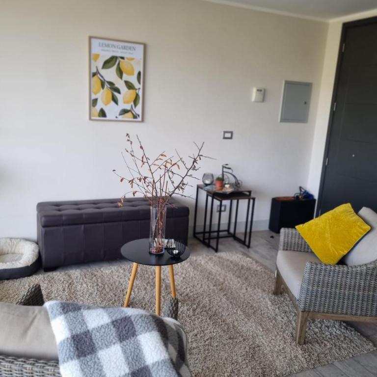 Acogedor y moderno apartamento cerca de Dunas y playa en Con Con - One-Bedroom Apartment - 2