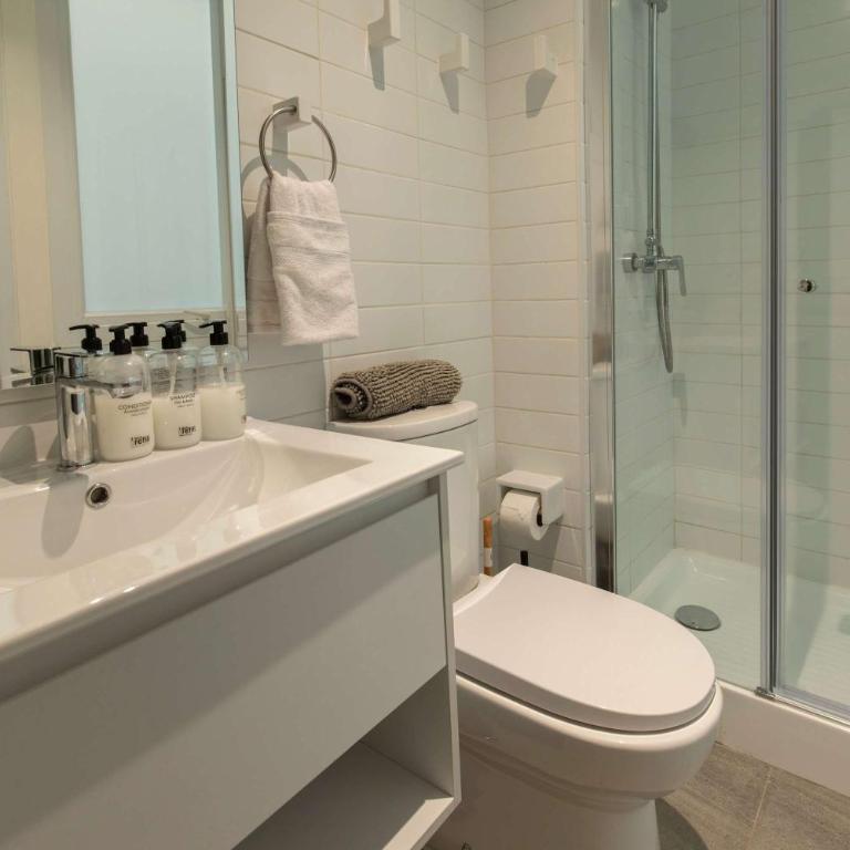 HOM I Estilo Loft Terraza Planta Baja Lastarria - Apartment - 45