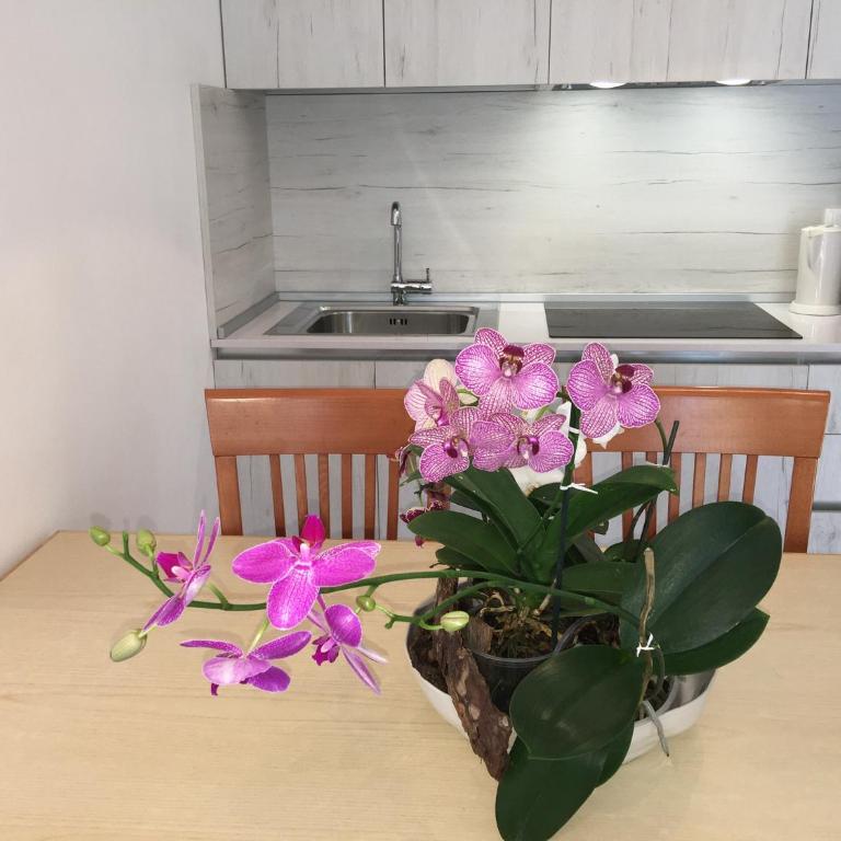 Casa Eva Garden - Appartamento con 2 Camere da Letto e Terrazza - 4
