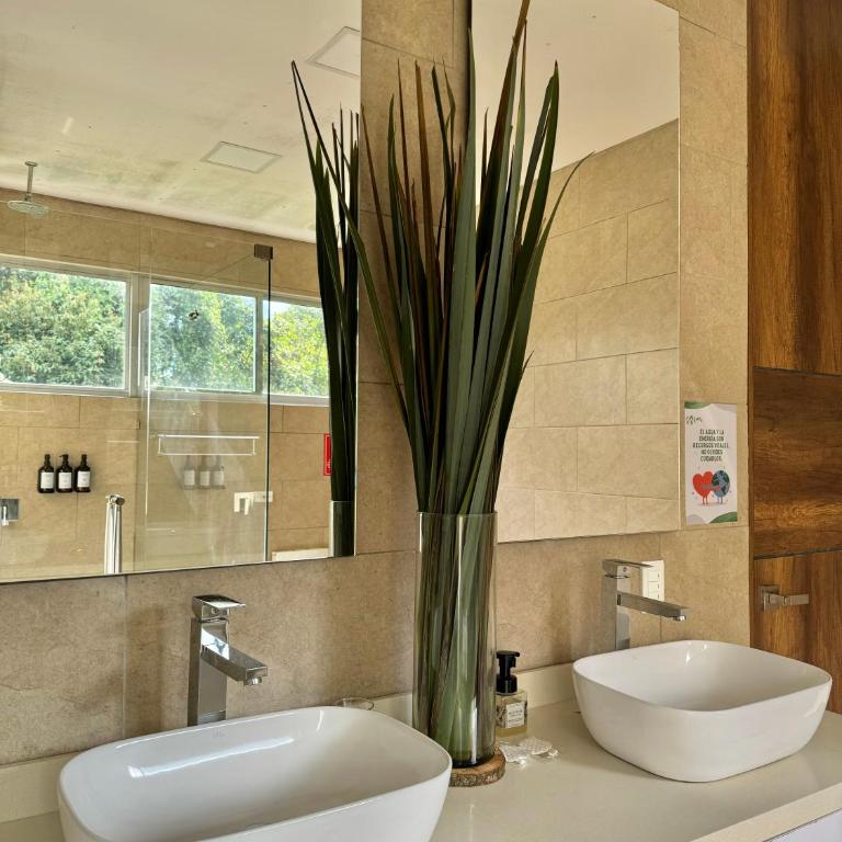 Casa campestre en el Quindío - Casa de 6 dormitorios - 12