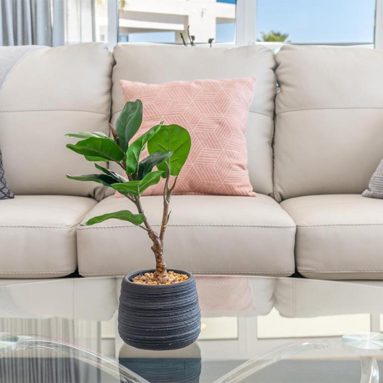 Rocky Point beach Lyfe Encantame Condo Viento 205 - Casa - 5