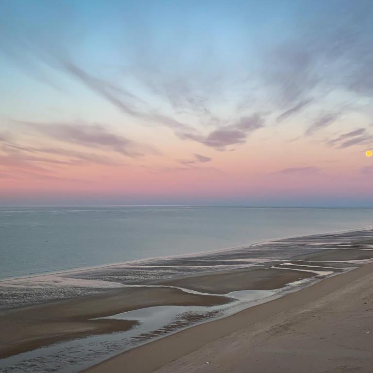 Stunning 2 bedroom Corner Beach Front Condominium Encantame C-1105 - Maison de Vacances - 44