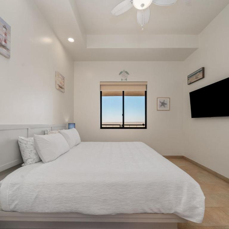 Las Palomas OV 2BR 2BA Penthouse Cortez 1604 - Apartamento - 24