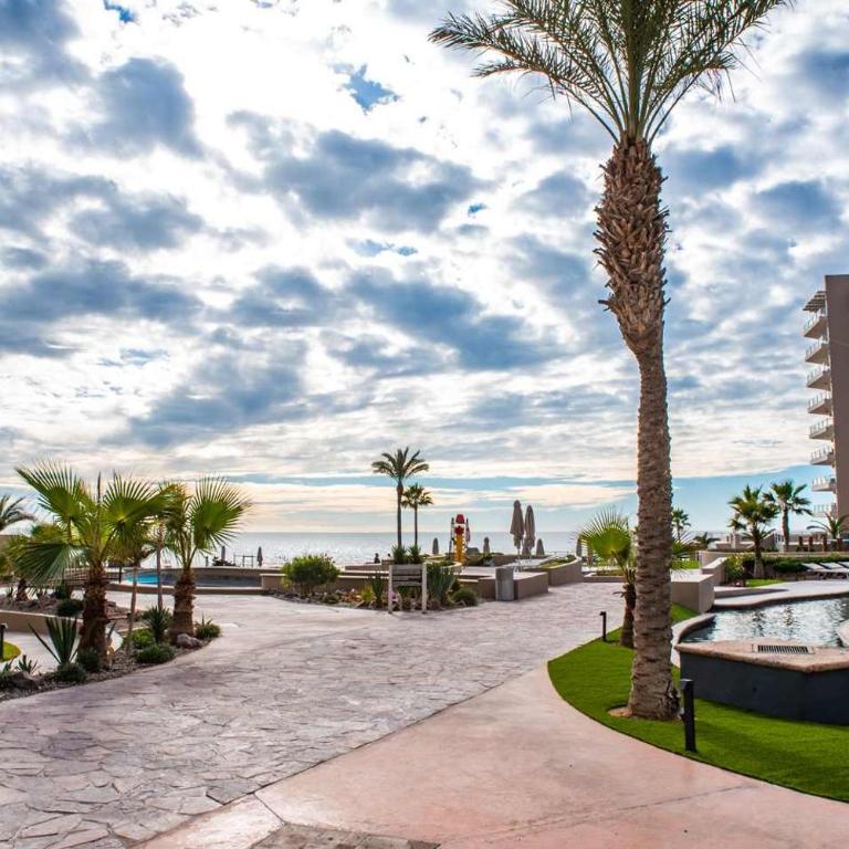 Las Palomas OV 2BR 2BA Penthouse Cortez 1604 - Apartamento - 67