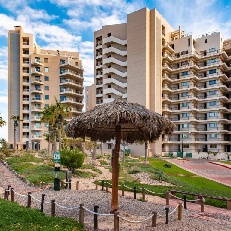 Las Palomas OV 2BR 2BA Penthouse Cortez 1604 - Apartamento - 95