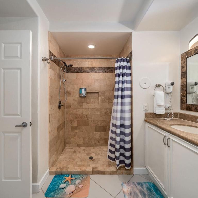 1BR 1BA Ocean View Las Palomas Phase 1 Bld Ruby - Apartment - 14